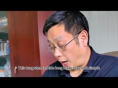 จูโจว ซานซิน คาร์บิดซีเมนต์ - ใบ